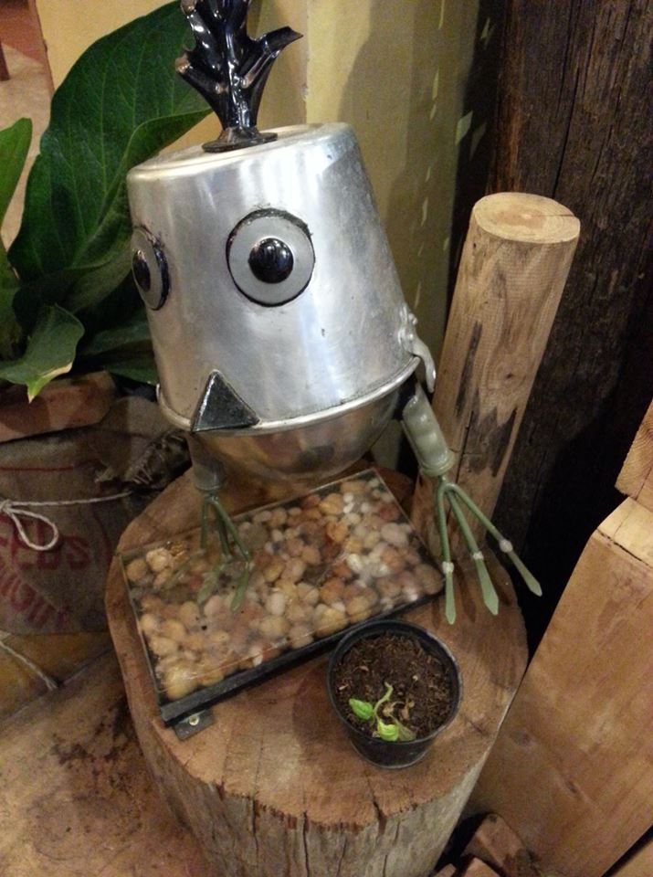 โอ้กะจู๋ สาขา 2 Nim City Daily