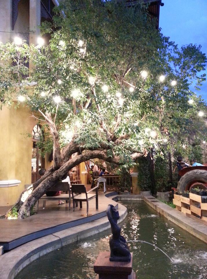 โอ้กะจู๋ สาขา 2 Nim City Daily