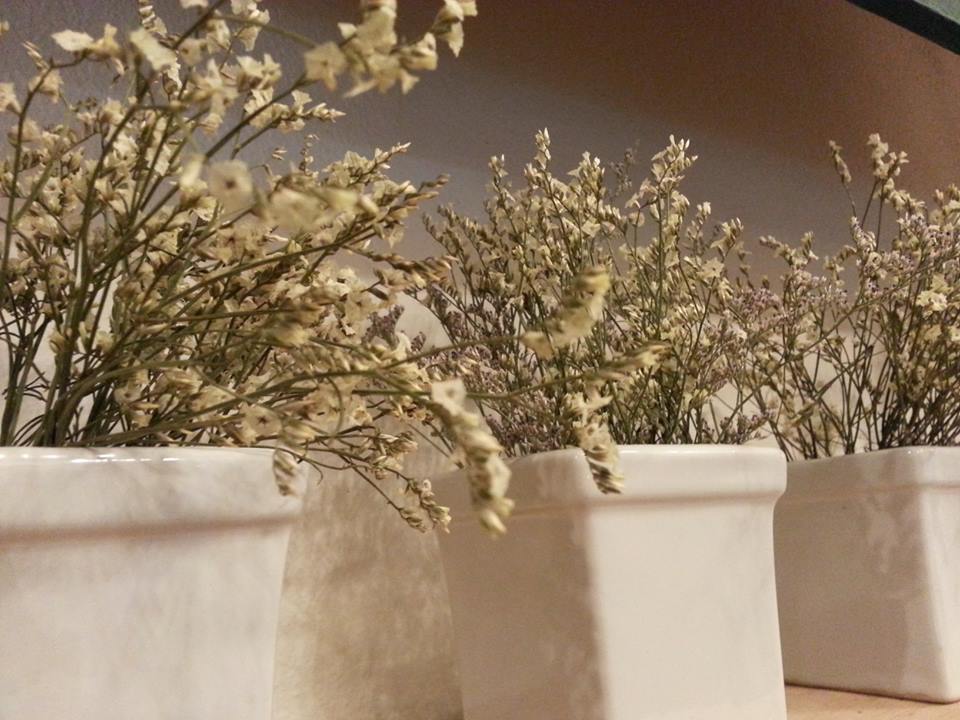 โอ้กะจู๋ สาขา 2 Nim City Daily